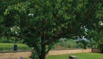 Dependance Torretta Pucci - Foto 2