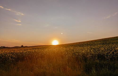 W5 - Urlaubsmagie - Wohnung mit Grill, Terrasse & Pool - Foto 29