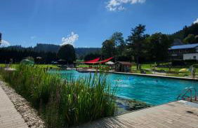 FeWo Gretel Schönwald - Foto 6