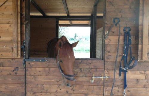 Agriturismo Il Paradiso - Foto 136