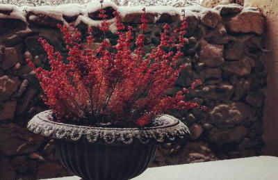 Casa Rural el Pajar de Tenzuela - Foto 20