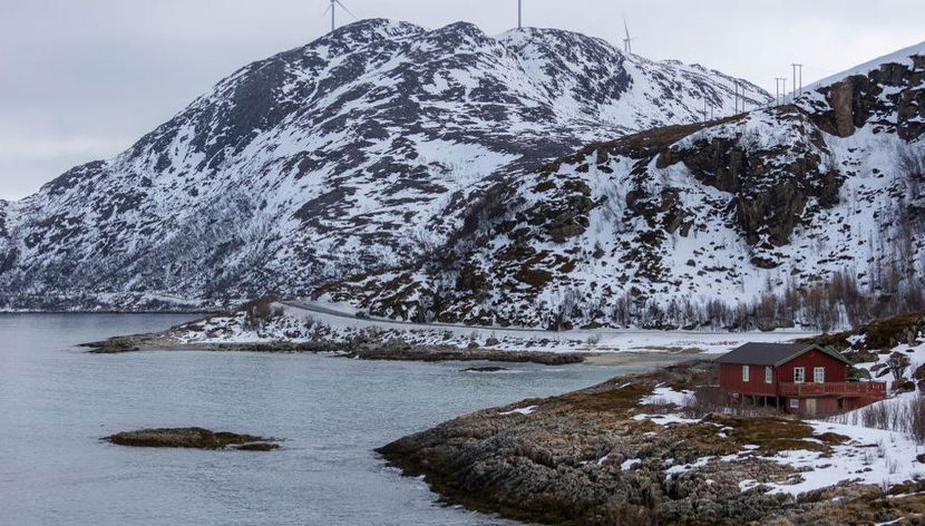 Explore os Fiordes do Norte de Kvaløya - Tour de Meio Dia - Foto 2