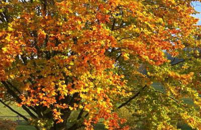 GRUNDLERS - Gästehaus am See - Foto 35