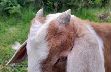 Quinta da Maria - Foto 65