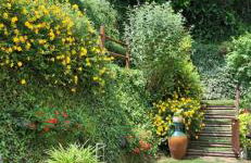 Mimosa Apartments - Foto 8