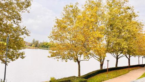 Charmant et cosy appartement à Créteil lac - Foto 4