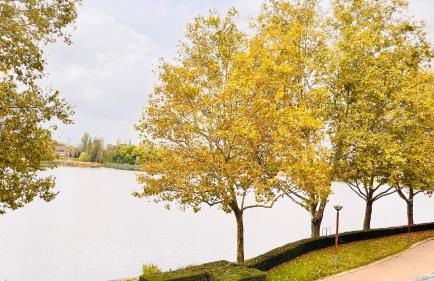 Charmant et cosy appartement à Créteil lac - Foto 4