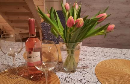 Domek do wynajęcia - Siedlisko przy lesie - Foto 14