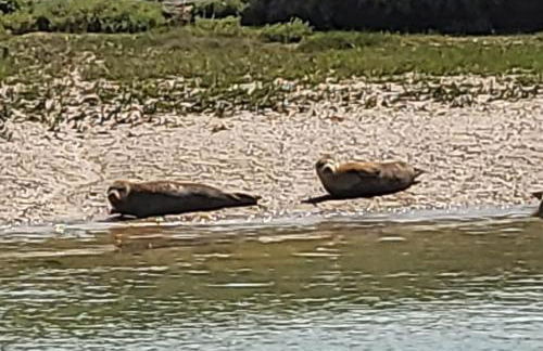 Rūm by the beach - Foto 50