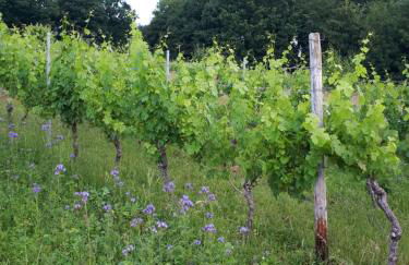 Ferienwohnung Emma - Foto 12