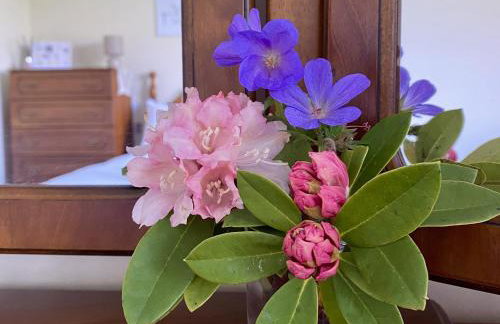 Betty's Farm Cottage - Foto 49