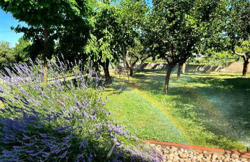 Villa Duje - Photo 38