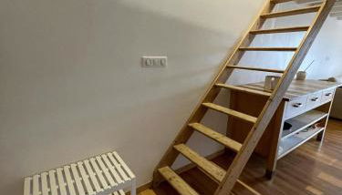 La Tomate Surfeuse 2 - Photo 5