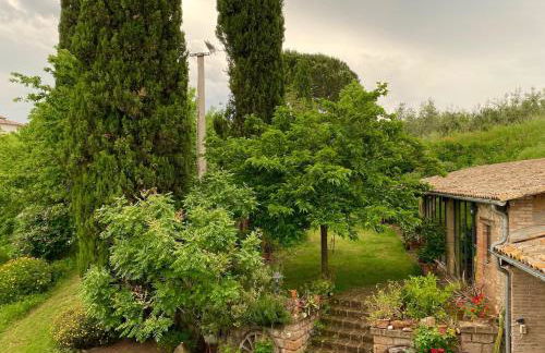 Podere Porcino - Foto 71