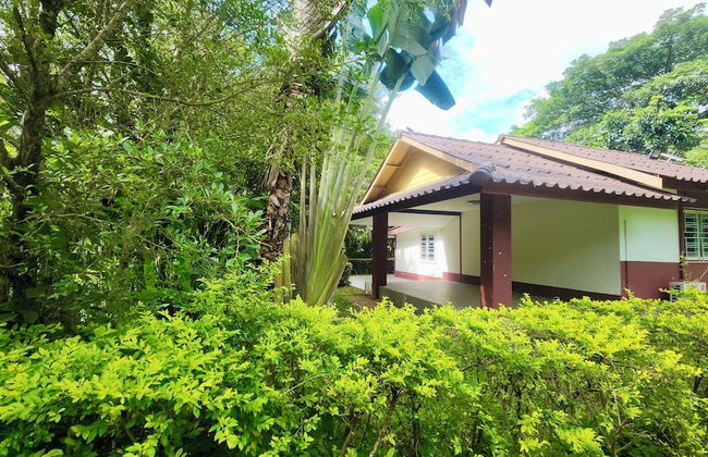 Natura Ravee Greenstay - Photo 3