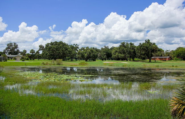 Spacious Modern Pool Home, Family & Golf Trips - 4727 4 Bedroom Home by RedAwning - Foto 17