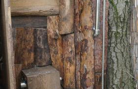 Auszeit inmitten der Natur - its a kind of magic - Foto 10