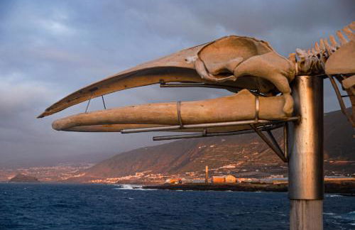 CASA EMBLEMÁTICA MARUCA y LELI - Foto 50