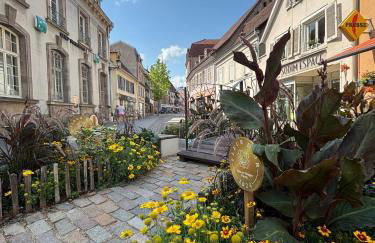 La Vue des Vignes - Foto 10