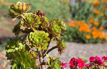 Casa terrera "El Granero" - Foto 38