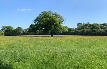 Stylish 3 bedroom apartment - Foto 13