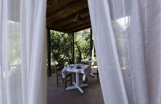 Agricontura - Foto 62