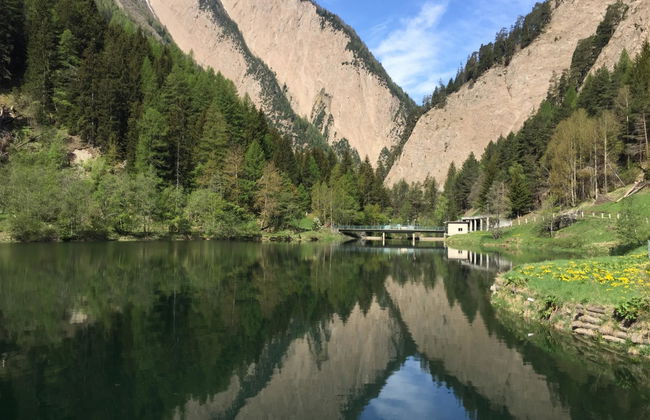 Amici 1. OG West - Foto 59