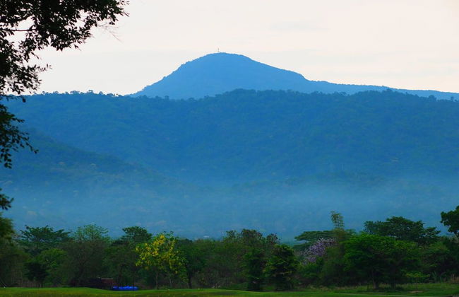 Uncle Jo Valley - Photo 19