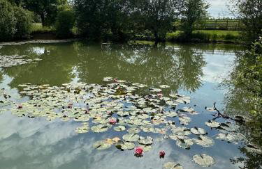 Woodlands Luxury Lake Log Cabin - Vetiver Villa - Foto 37