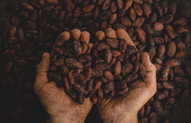 Armenia Private Tour - Foto 2