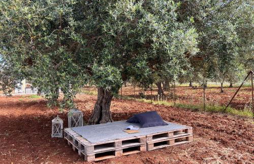 Villa Santareddi - Foto 23