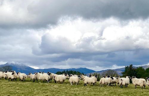 The Bothy, Callander - Foto 25