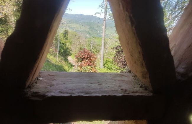 Agriturismo Piccola Raieda - Photo 57