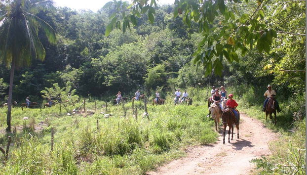 Horse ride through beautiful landscapes