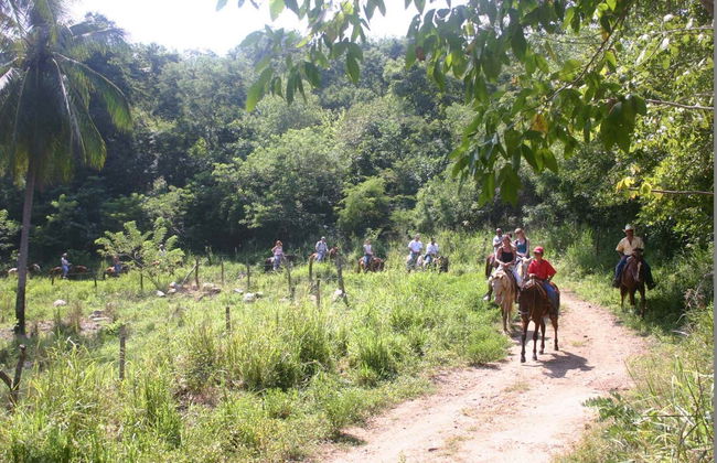 Ixtapa Zihuatanejo Horse Riding - Foto 3