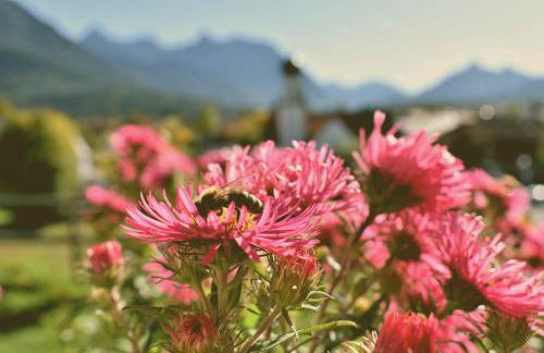 Ferienwohnung Am Golfplatz - Foto 15