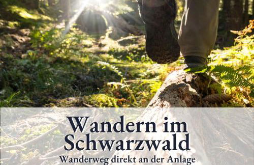 Holiday&Stay, Pool, Massagesessel, 85Zoll TV, Küche - Foto 30