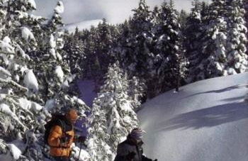 Gîte Lilubelle - Foto 15