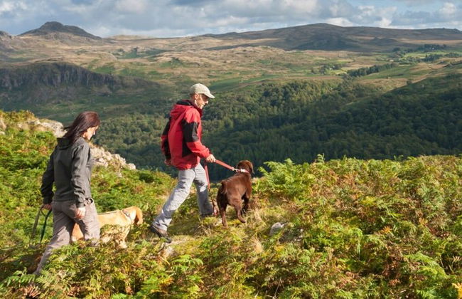 Waterfall Country Escape - Foto 52