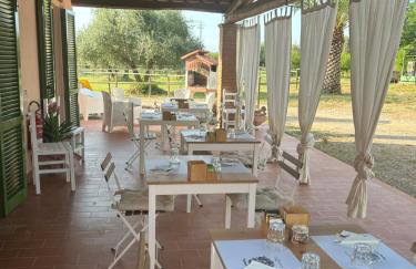 Agriturismo La Quercia - Wine&Pool - Foto 120