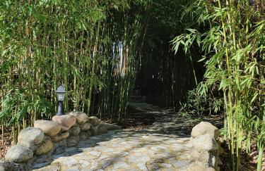 Lou Visetto à Vallon-Pont-d'Arc - Foto 8