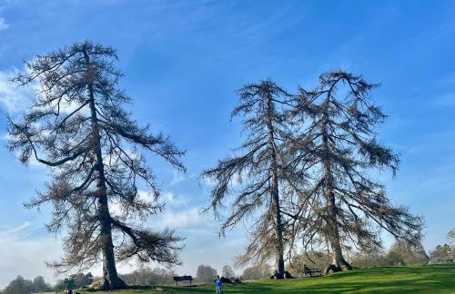 Urban Chic- Stylish Flat in the Heart of St Albans - Photo 56