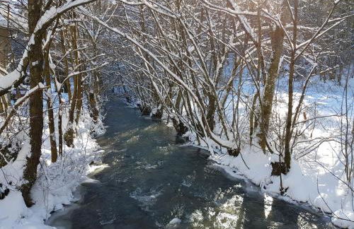 Fewo TaLuLa - Sauerland mit Hund - Foto 26