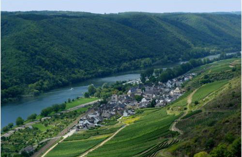 LUX Ferienwohnung im Weinort Pommern an der Mosel - Foto 53