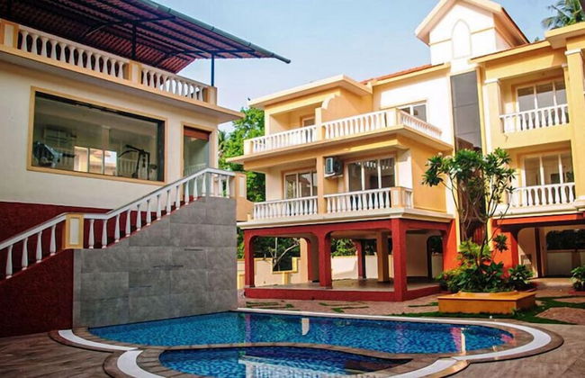 B&F Amber Gardens - Photo 10