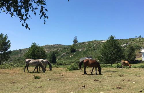 Casa Ponto Da Cruz - Foto 27