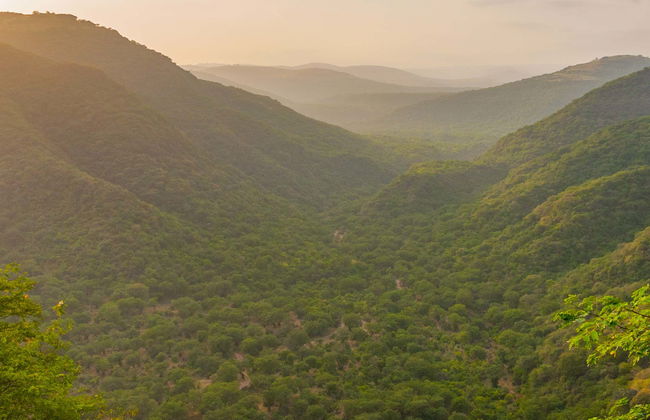 Southern Oman Mountains & Valleys Private Tour - Foto 1