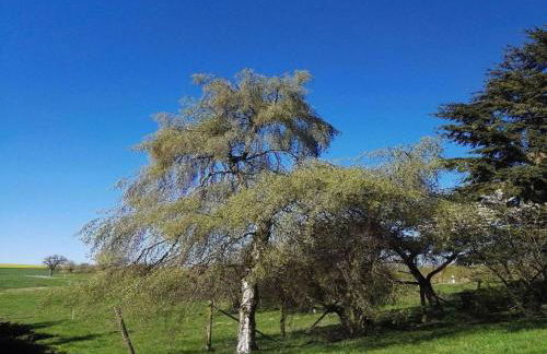 Forest Haven in Filz - Foto 9