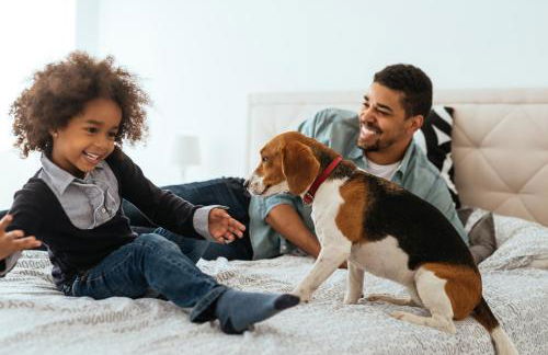 Citadines Confluent Nantes - Foto 78