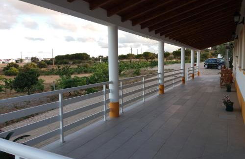 Corvos e Cadavais - Foto 21